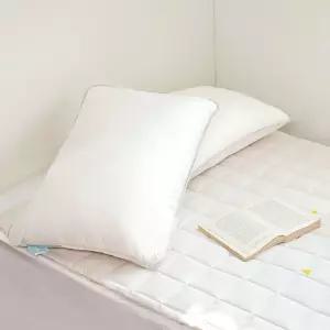 홈랩 알러지케어 오리지날 기절베개 5070 베개솜 2종