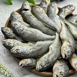 국내산 연안 참굴비 20미