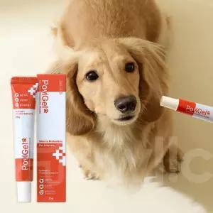 하울릭 강아지 고양이 귀 염증 괴이염 귓병 예방 연고 곰팡이 귀세정제 포비겔 20g 1개