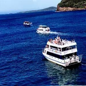 [스마트 초이스] 완벽한 시드니 7일 #노옵션 #오페라하우스내부관람 #디너크루즈 #북부+동부관광 #팜비치 #포트스티븐스 #블루마운틴 시닉3종 #시드니타워 #야경투어 #하버프론트레스토랑