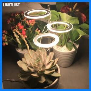 천사 3 링 성장 조명 DC5V USB 식물 램프 실내 식물 묘목용 LED 전체 스펙트럼 램프 가정용 꽃 다육 식물