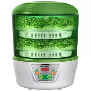 콩나물 재배기 수경재배기 전자동 새싹 무순 재배 기르는