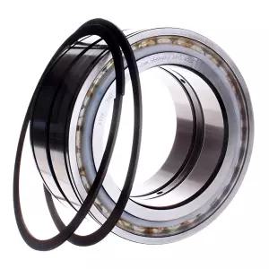 INA SL045014-PP-2NR 원통형 롤러 베어링 완전 보완 세트 2열 중앙 리브 양쪽 내부 링 접촉 씰의 외부 3 두