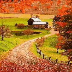 고품질 가을 테마 DIY 셀프 명화 그림 페인팅 그리기 드로잉 (WFJRD2L)