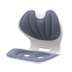 바른허리 접이식 쿠션체어 (WFK6DR6)