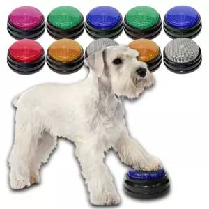 강아지 LED 녹음 간식벨 10P 훈련 놀이 버튼 의사소통