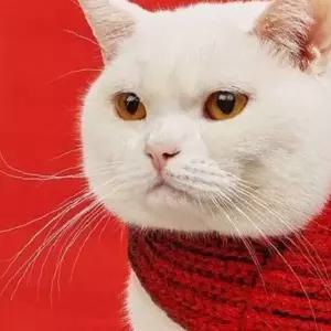 쌍문상회 강아지스카프 고양이 뜨개방울 목도리 반려동물 케이프