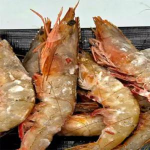 [맛] 자연산 제철 대하새우500G 1팩 대하제철