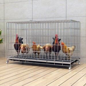 닭장만들기 사육장 비둘기 닭장 닭둥지 검정 앵무새 닭산란통 원목 대형새장 소형 헛간