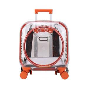 투명 고양이 외출가방 이동장 강아지 케이지