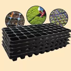 현이몰 모종 트레이 모종판 육묘판 파종 50구 5개 모종트레이 육묘 고추모종 수박모종 상추모종 들깨모종