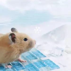 고슴도치침대 고슴도치여름 햄스터 여름 쿨매트 냉각 패드 침대 대형