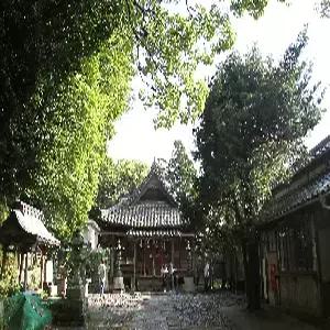 대마도 2일 #노바호 #오후출발-오후리턴 #이즈하라 시내호텔 #BBQ특식  #특전_맛보기회서비스  #특전_슈시강산책