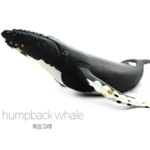 소프트 리얼 혹등 고래 모형 어린이집 교육용 역할 놀이 바다 생물 동물 어류 물고기 미니어쳐 관찰 교구