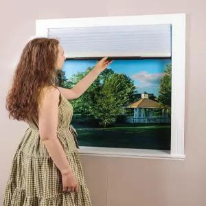 ECFAC 무선 주름 창문 블라인드 가벼운 필터링 패브릭 30 W x 64 H (창 너비 16 -30 에 적합) 간편한