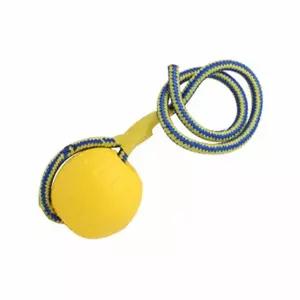 [콩심팥심]강아지 훈련 애견 장난감 놀리 디스크 로프공 플라잉 훈련디스크