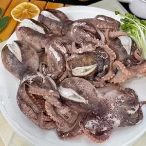 [HV8] 냉동 알쭈꾸미 2kg