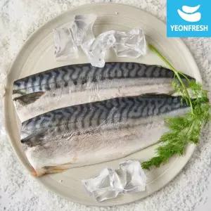 손질 무태민물장어 1kg 생물 (손질 후 700g내외) 소스2종생강채