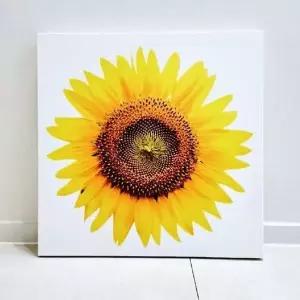 들어오는 해바라기 액자 해바라기그림 꽃송이 큰 (KYR-WEE595A)