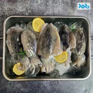 [맛도리] 국내산 별미 급냉 갑오징어 오징어 1kg (4-6미) 오징어숙회