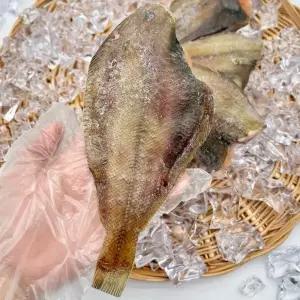 국내산 반건조 알가자미 5미 10미 냉동 말린가자미 손질가자미