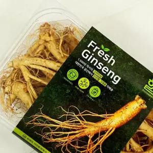 (다올)고려인삼 9호 수삼 생삼 금산인삼 강화인삼 풍기인삼