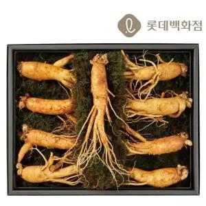 수삼 세트 수秀 303