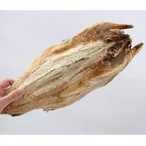 VB 통마리 먹태 10 7통 45-49cm 내외노가리 안주용 황태 건어물 마른 노가리황 건조