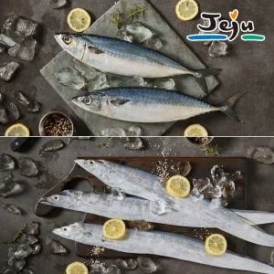 갤러리아 제주 프리미엄 갈치,고등어 혼합 선물세트(갈치300gX2팩+고등어살 5