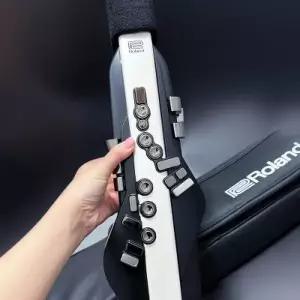 [텐바이텐]롤랜드전자색소폰 ae-20 에어로폰ae20 색소폰전자