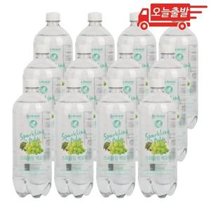 오늘출발 노브랜드 스파클링 백포도 1L 12개
