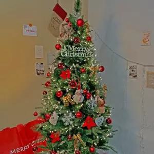 [텐바이텐][비솜] 크리스마스 믹스트리180cm세트(미리내전구400P포함)