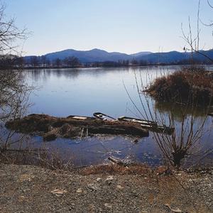 [경남] 리무진버스 - 창녕 우포늪을 찾아서(중식포함) 당일