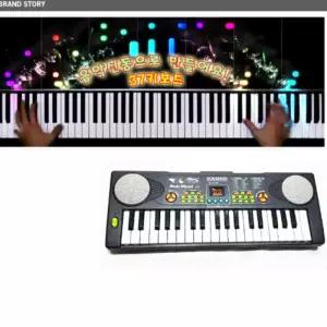 전자 오르간 키보드 음악 교육 악기 피아노 학습 완구