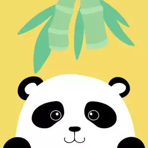 피포페인팅 HP10111 아기 팬더 그림그리기세트 미니 20x20