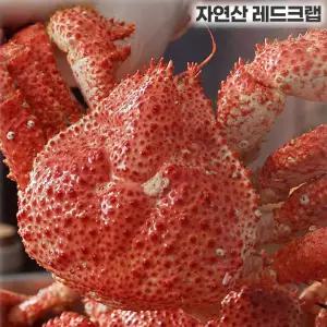 한농식 자연산 스노우 레드크랩 3마리(약 1.2kg 남극 인근 해역100%자연산크랩
