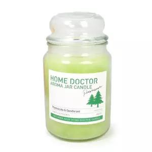 잡화 생활 용품 자캔들 홈닥터 580g 피톤치드&악취제거 가정 집안