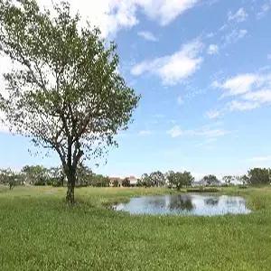 [베스트셀러][항공커버제공]클락 골프 5일 #골프텔 #36홀*3회 #레이크우드 골프텔 #레이크우드CC #가성비최고 #2인단독라운드가능 #카트진입가능 #조/중식포함