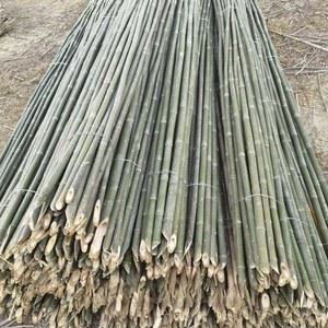 대나무 지지대 오이 3cm 30개 주 텃밭 기둥 고추 농사 넝쿨재배 화 굵은 세트