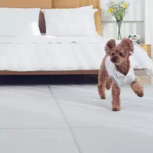 댕댕매트 강아지미끄럼방지 강아지 애견 PVC 매트