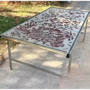 접이식 고추 건조대 건조 찻잎 2m 해조류 생선