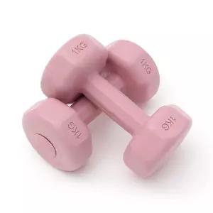 여성용 덤벨 홈트 입문용 육각 아령 세트 2P 1KG 핑크