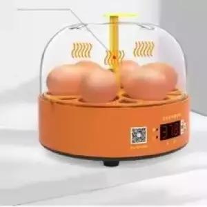 계란 부화기 미니 6구 자동 회전 병아리 부화 전란기