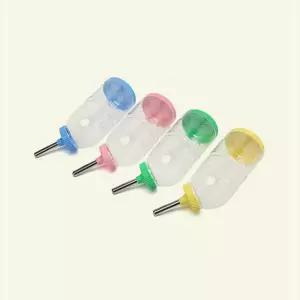 학교 물병 햄스터 관공서 2W8E913D6F