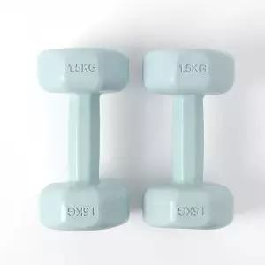 여성용 덤벨 홈트 입문용 육각 아령 세트 2P 1.5KG 블루