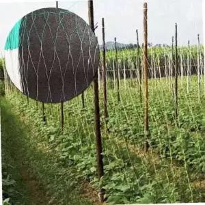 그물망 울타리 식물 지지대 넝쿨식물 묶음망 정원용