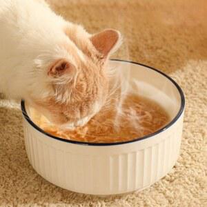 항온 보온 고양이 난방 따뜻한 세라믹 가열 강아지식기 얼지않는물그릇 온수 흐르는 야외