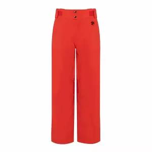 [프로암스키][골드윈] 남성 알파인 팬츠 2425 M`S ALPINE PT RED