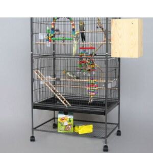 날림장 대형 새장 왕관 앵무새키우기 퀘이커 코뉴어