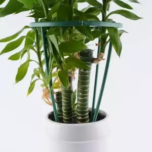 원형 식물 울타리 조립 고정 화초 지지대 4p 세트 플라스틱식물지지대